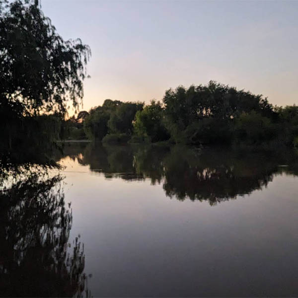 Cabañas La Dorotea