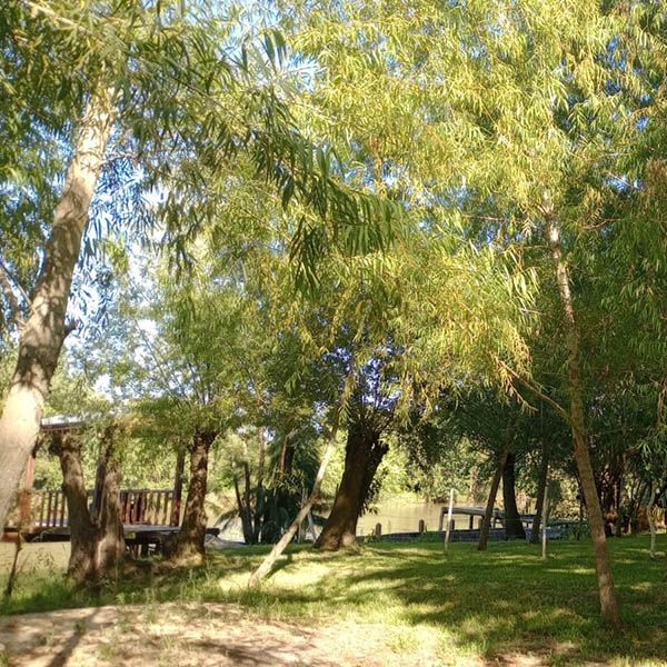 Cabañas La Dorotea