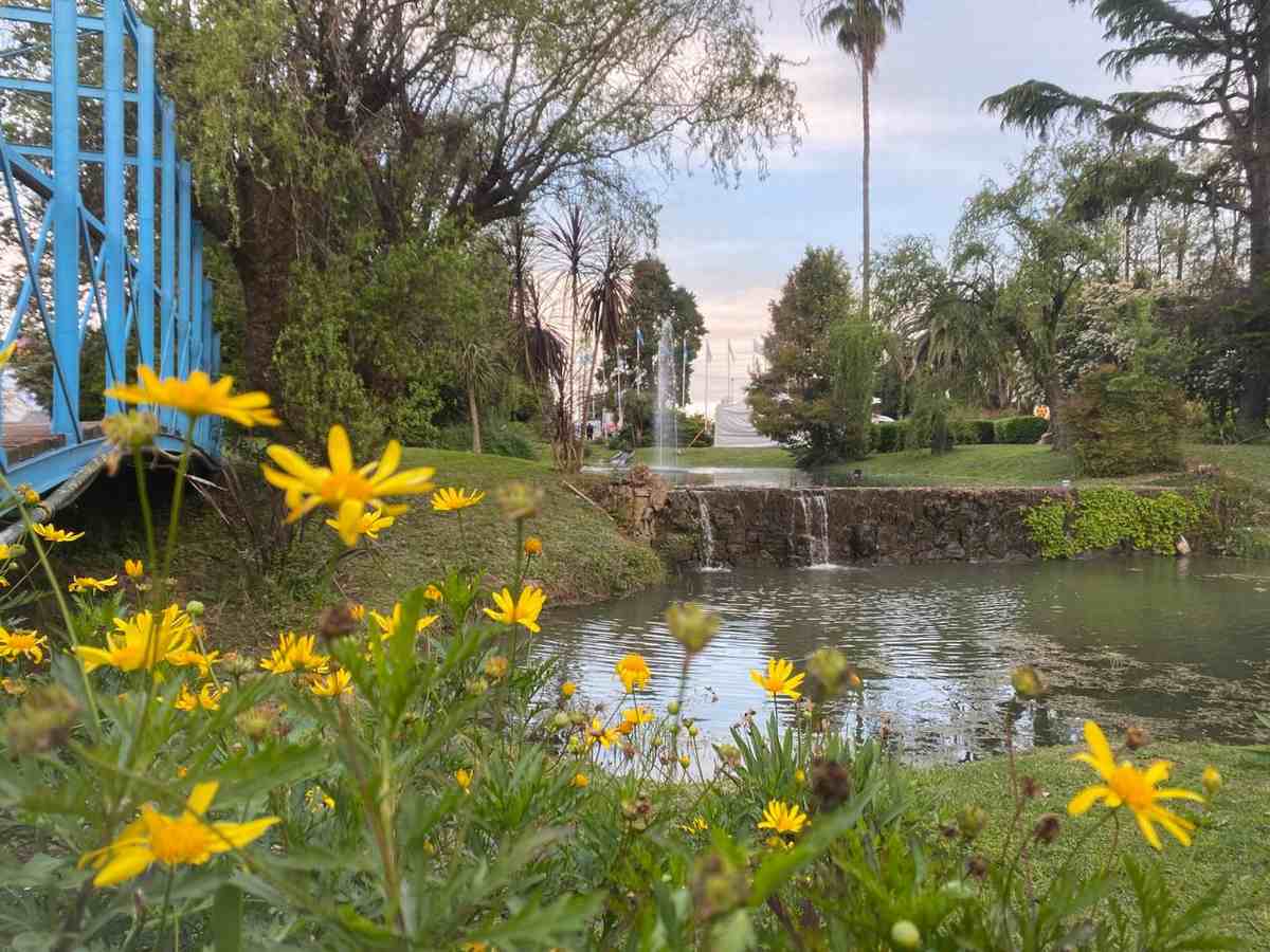 Imagenes del predio Floral Fiesta de la Flor 2026